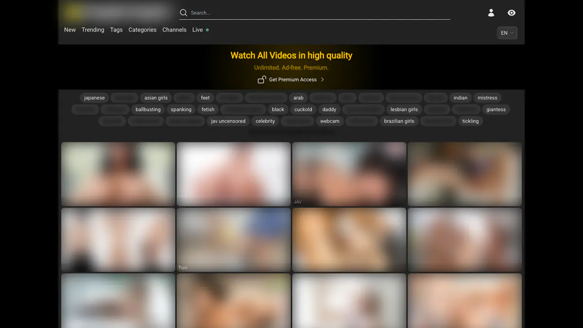XFantazy Video Downloader browser extension screenshot 2