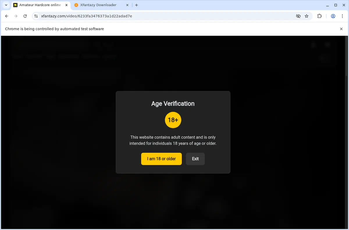 XFantazy Video Downloader browser extension screenshot 3