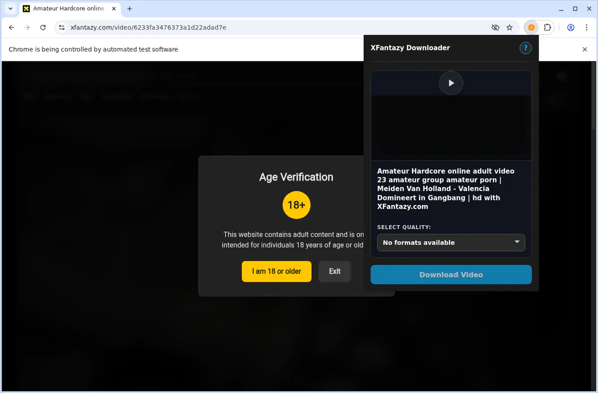 XFantazy Video Downloader browser extension screenshot 4