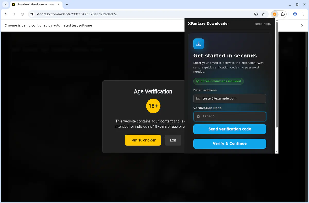 XFantazy Video Downloader browser extension screenshot 5