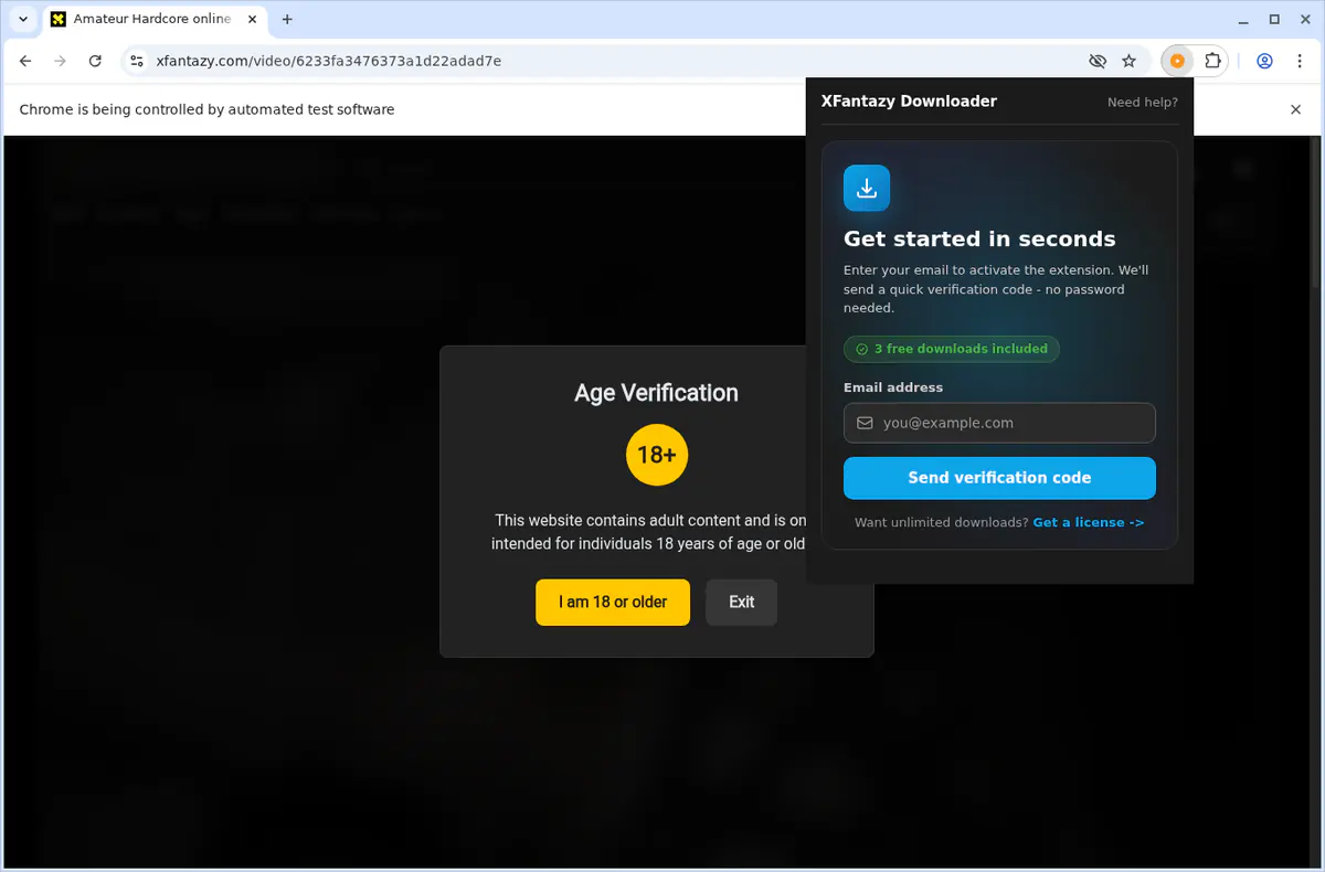 XFantazy Video Downloader browser extension screenshot 6